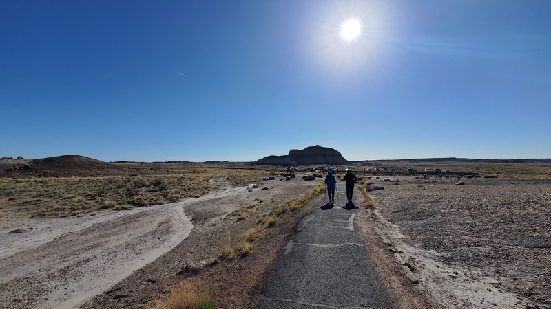 Painted desert Petrified Forest National Park