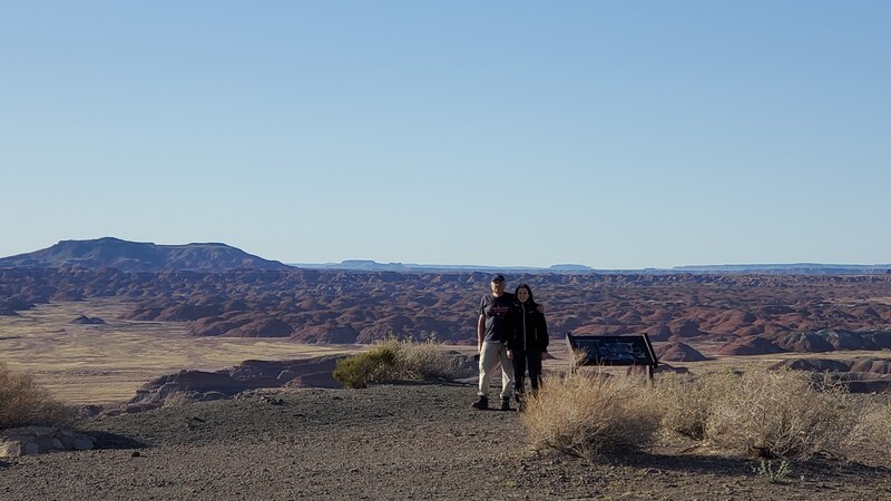 Painted desert Petrified Forest National Park