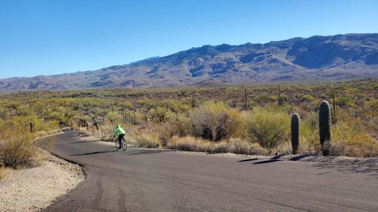 Saguaro National Park