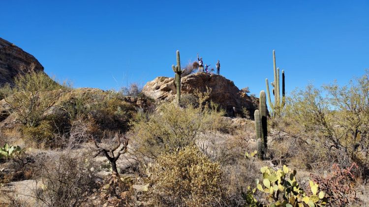 Saguaro National Park