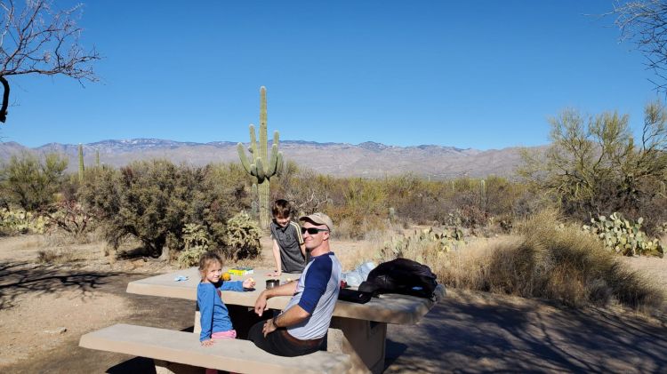 Saguaro National Park