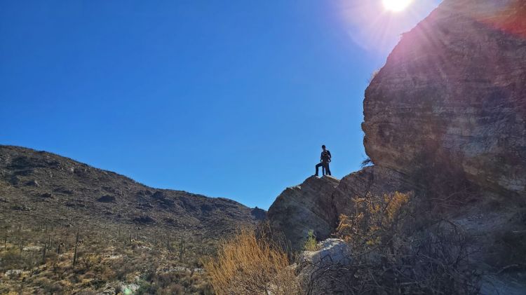 Saguaro National Park