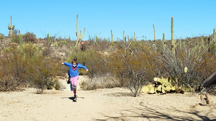 Saguaro National Park