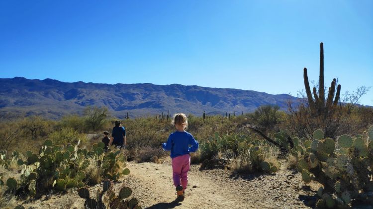 Saguaro National Park