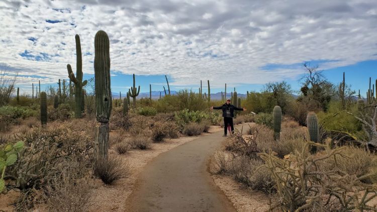 Saguaro National Park