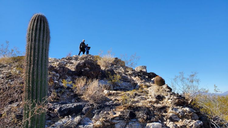 Saguaro National Park