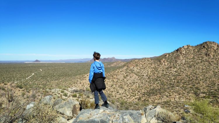 Saguaro National Park