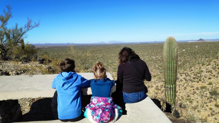 Saguaro National Park