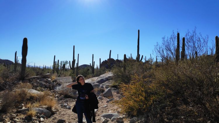 Saguaro National Park