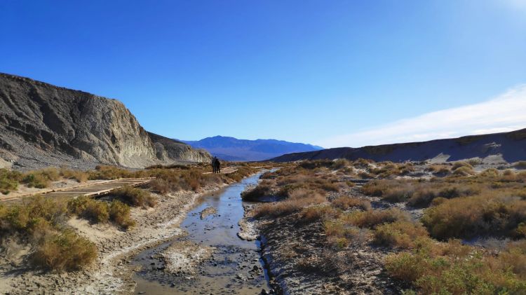 Salt Creek Death Valley