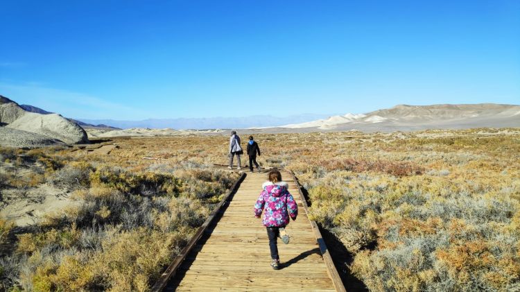 Salt Creek Death Valley