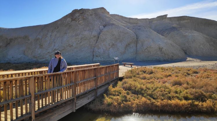 Salt Creek Death Valley