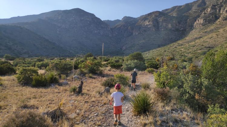 Guadalupe National Park