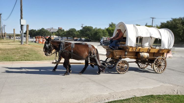 chariot cowboy