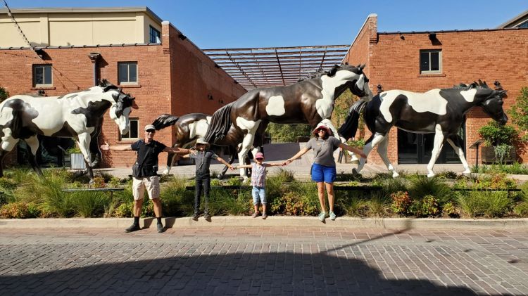 Stockyards