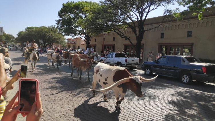 Stockyards