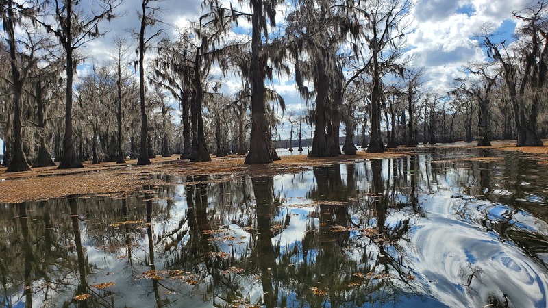 Caddo Lake State Park