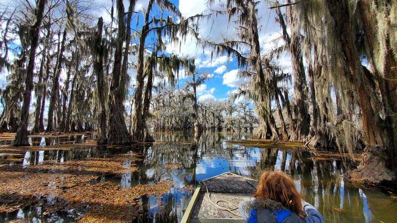 Caddo Lake State Park