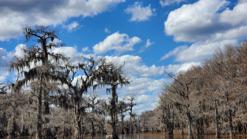 Caddo Lake State Park