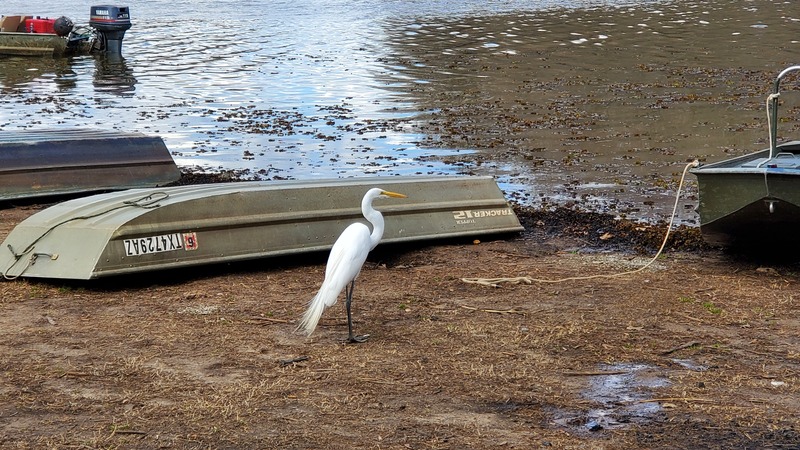 Caddo Lake State Park