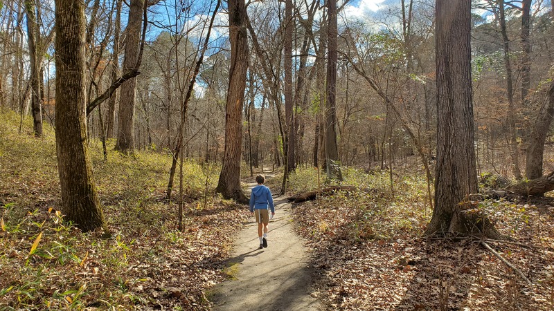 Caddo Lake State Park