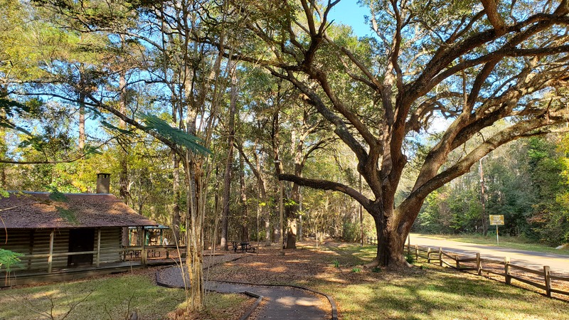 Big Thicket National Preserve