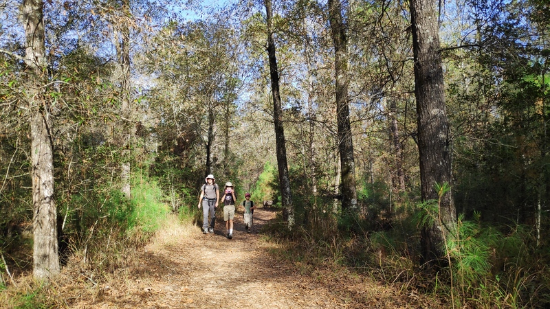 Lake Livingston State Park