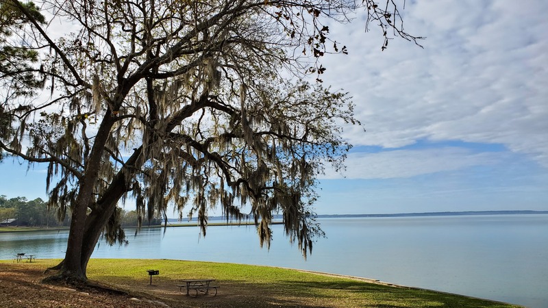 Lake Livingston State Park