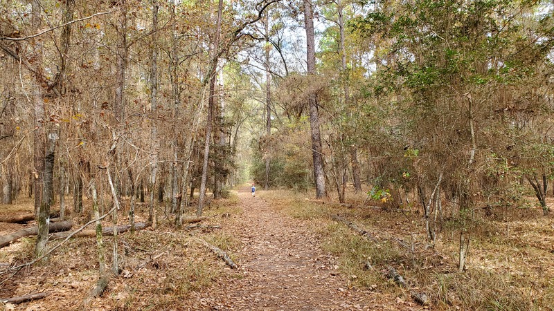 Lake Livingston State Park