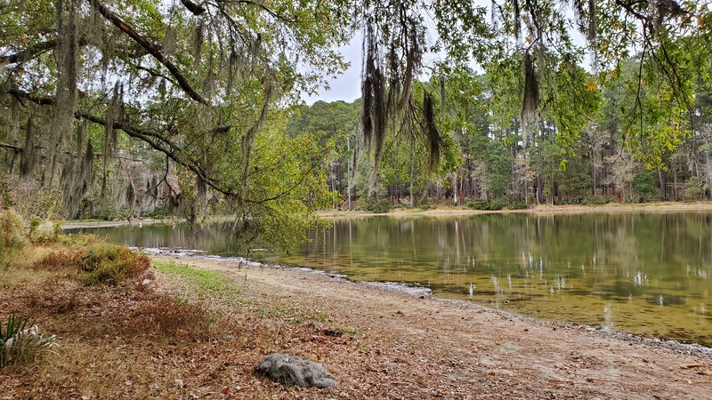 Sam Houston National Forest