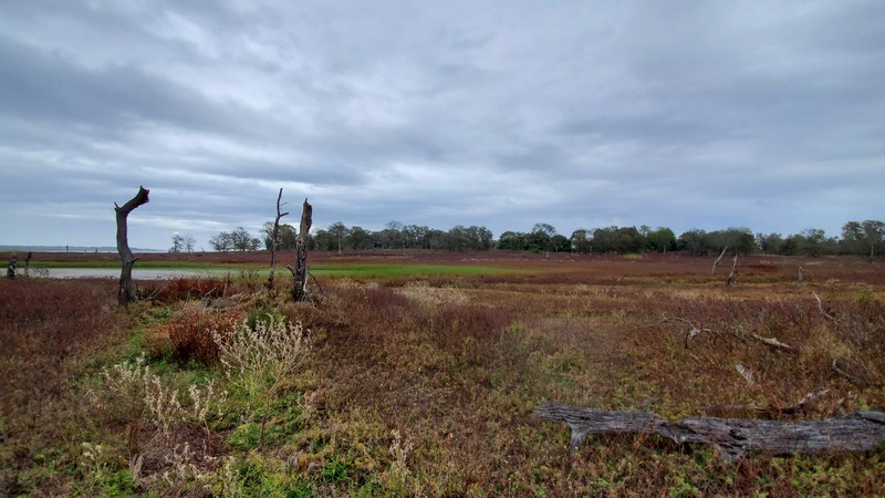 Lake Somerville State Park