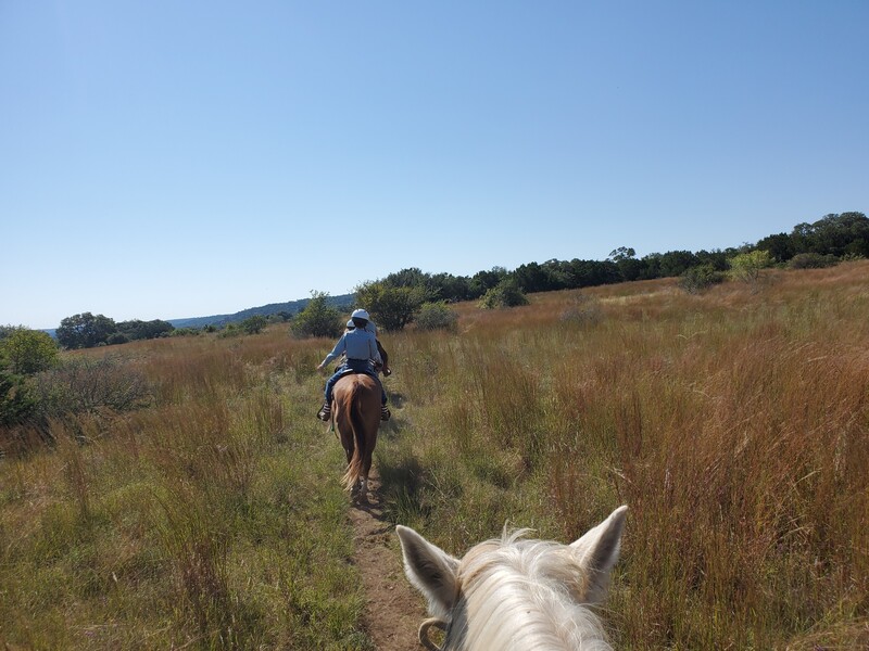 Cheval Hill Country State Natural Area