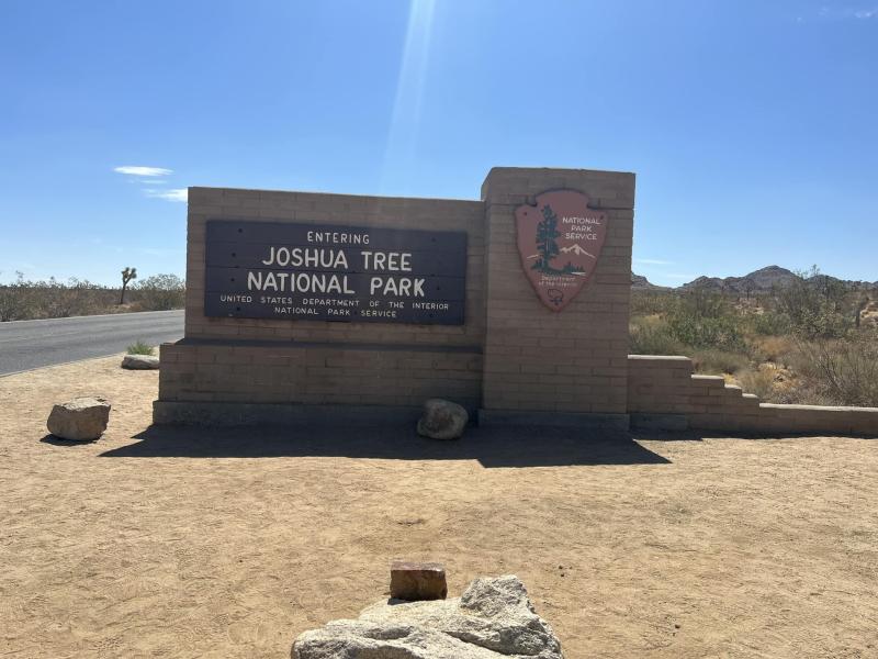 joshua tree 17