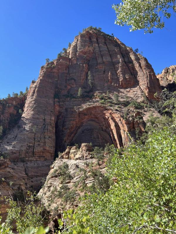 zion 01