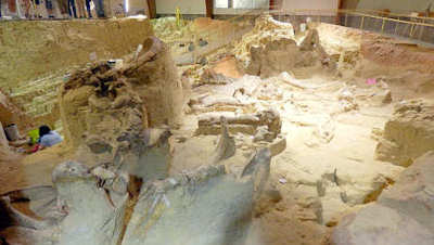 Mammoth Site de Hot Springs