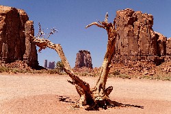 photo de cehem