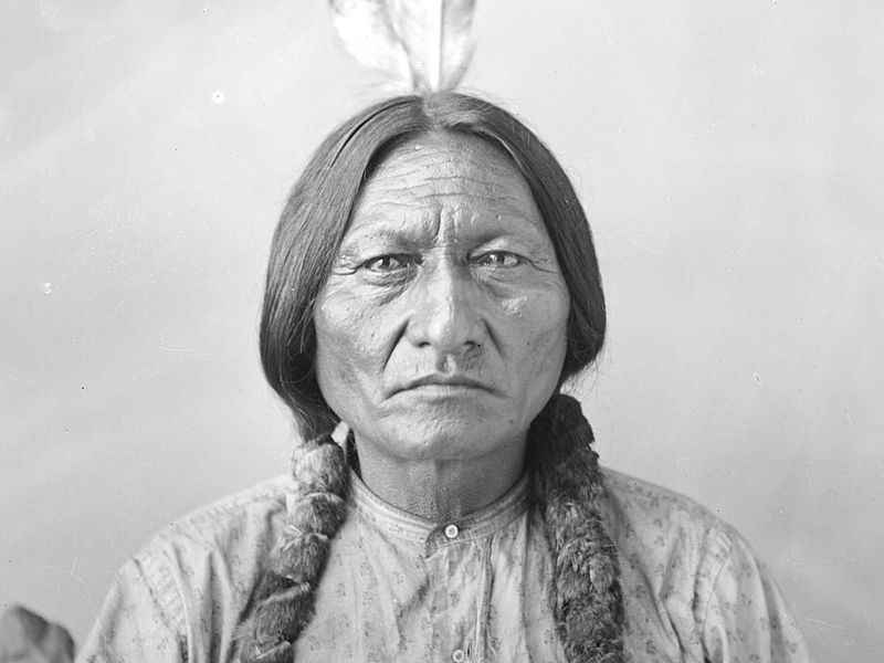 Puzzle Sitting Bull Puzzle Sitting Bull