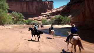 Visite guidée du Canyon de Chelly