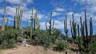 Catalina State Park