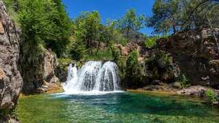 Coconino National Forest