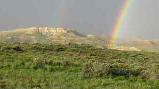 Fossil Butte NM 158 miles