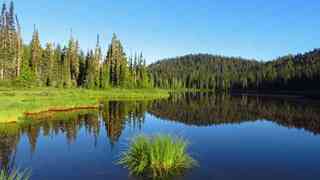 Mount Rainier NP