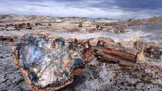 Petrified Forest NP 159 miles