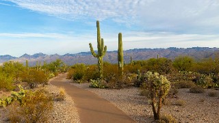 Rincon Mountain District, Saguaro National Park