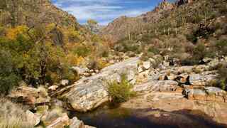 Sabino Canyon