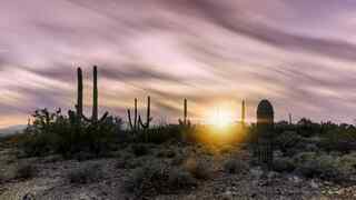 Saguaro NP 239 miles