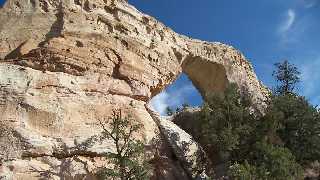 Sam Pollock Arch