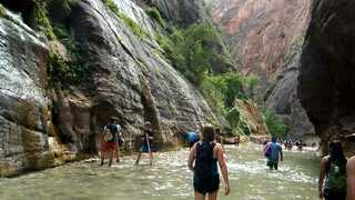 The Narrows - Zion National Park