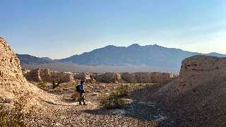 Tule Springs Fossil 161 miles