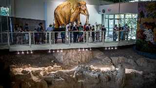 Waco Mammoth National Monument